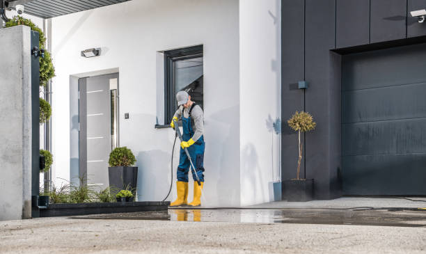 Pre-Holiday Cleaning in Los Alamos, CA